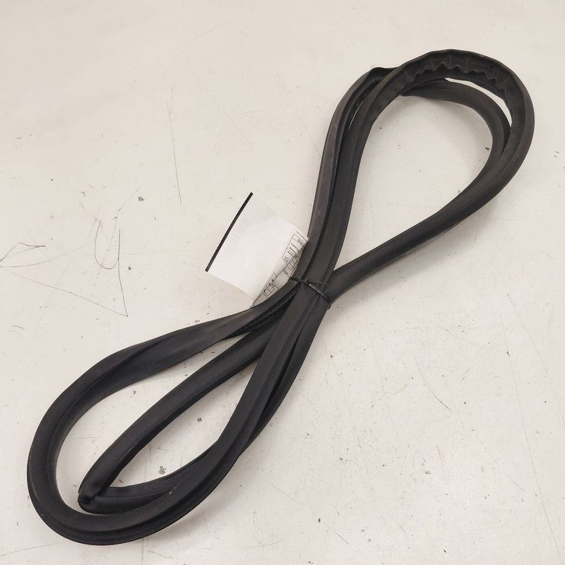 Ford Ecosport On Body Door Jamb Seal Rear Left Driver Back  2020 2021 