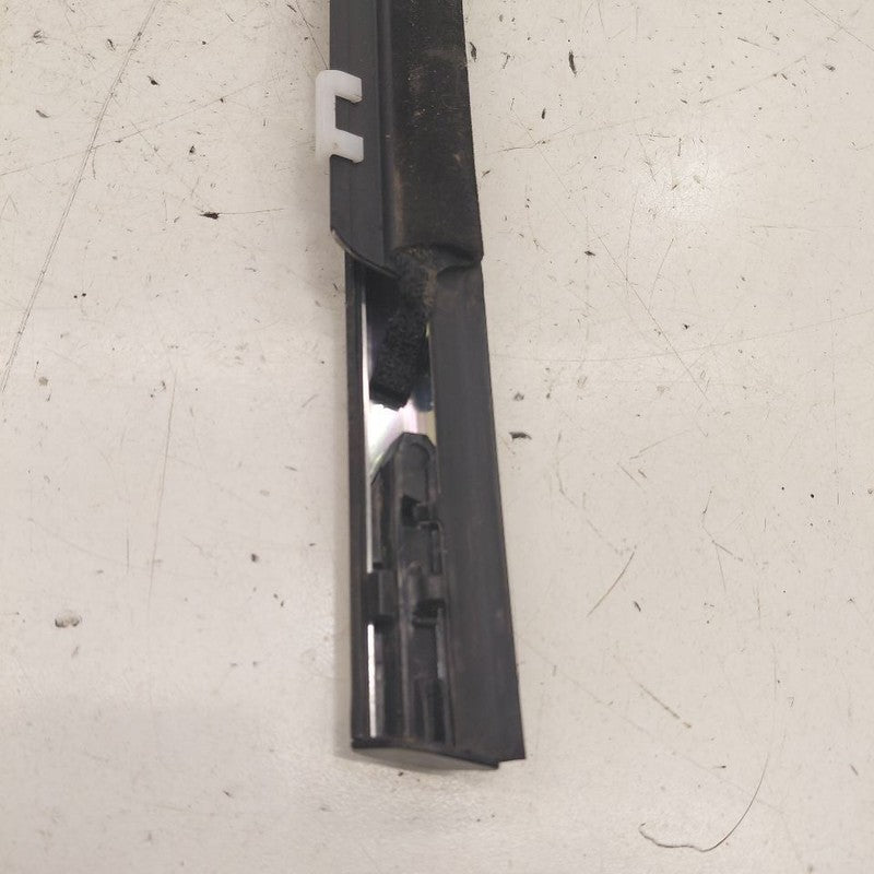 Kia Sportage Door Glass Window Weather Strip Trim Front Right Passenge