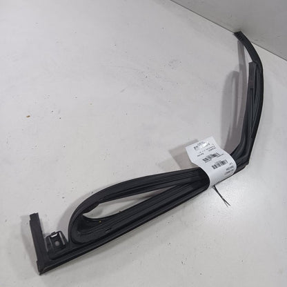 Chevy Trailblazer Door Glass Window Seal Rubber Right Passenger Front 