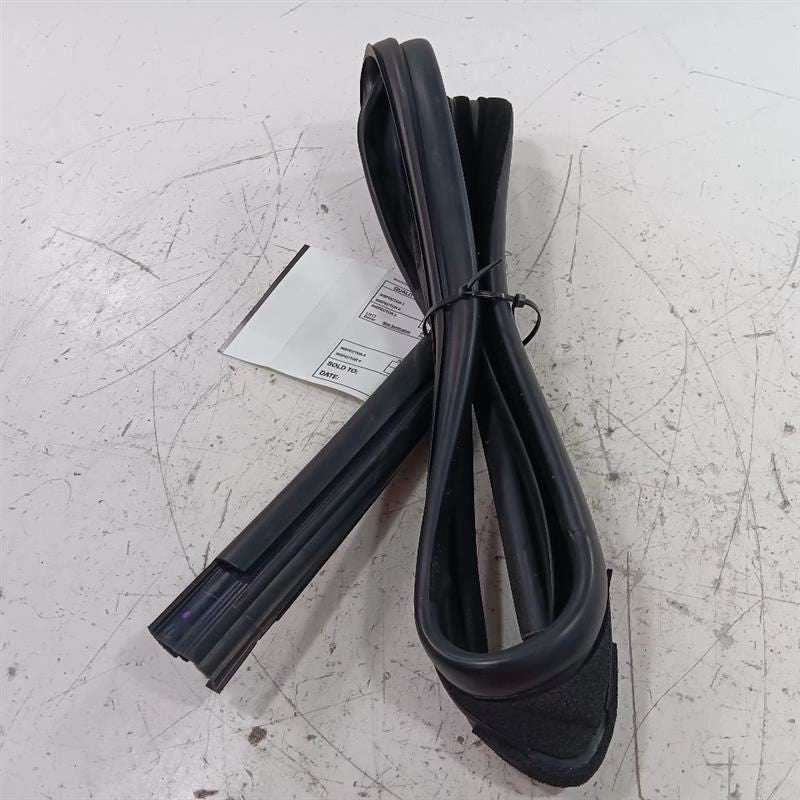 Ford Ecosport Door Glass Window Seal Rubber Right Passenger Rear Back 