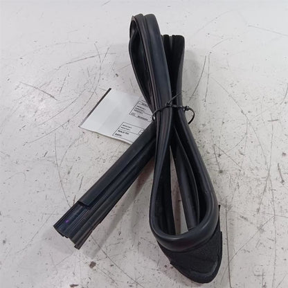 Ford Ecosport Door Glass Window Seal Rubber Right Passenger Rear Back 