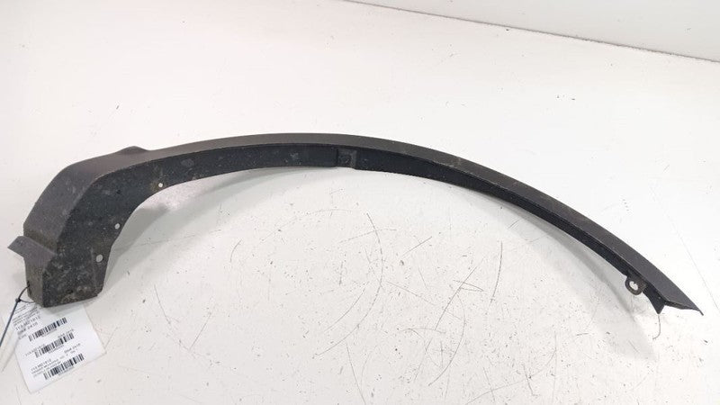 Fender Moulding Molding Trim Strip Passenger RIght Front