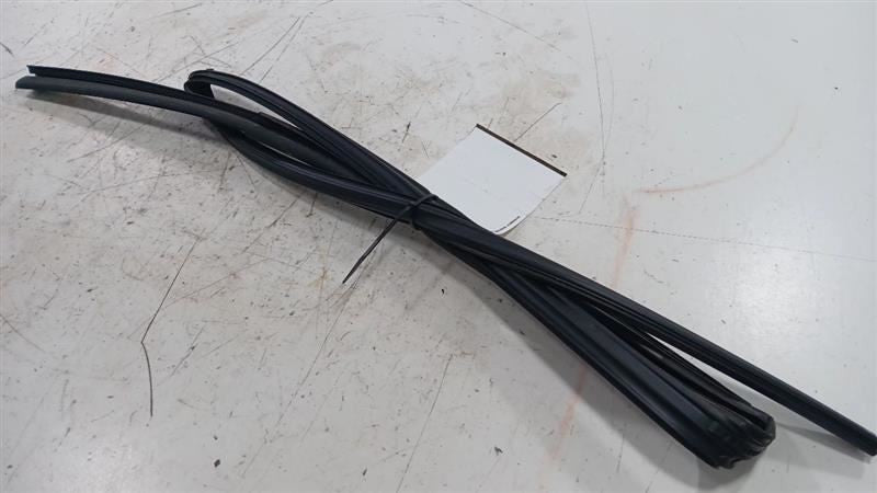 Toyota Camry Door Glass Window Seal Rubber Left Rear Back  2021 2022 2