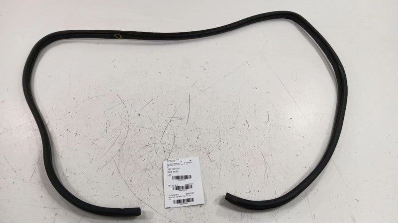 Hyundai Sonata On Body Door Jamb Seal Rear Right Passenger Back 2011 2