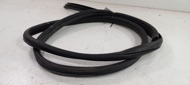 Hyundai Sonata On Body Door Jamb Seal Front Right Passenger 2011 2012 