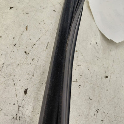 Kia Sorento Door Glass Window Seal Rubber Right Passenger Front  2018 