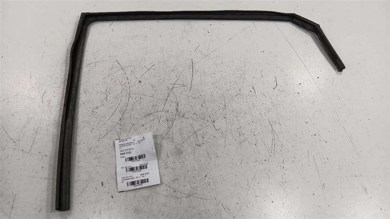 Hyundai Sonata Door Glass Window Seal Rubber Left Rear Back 2011 2012 201
