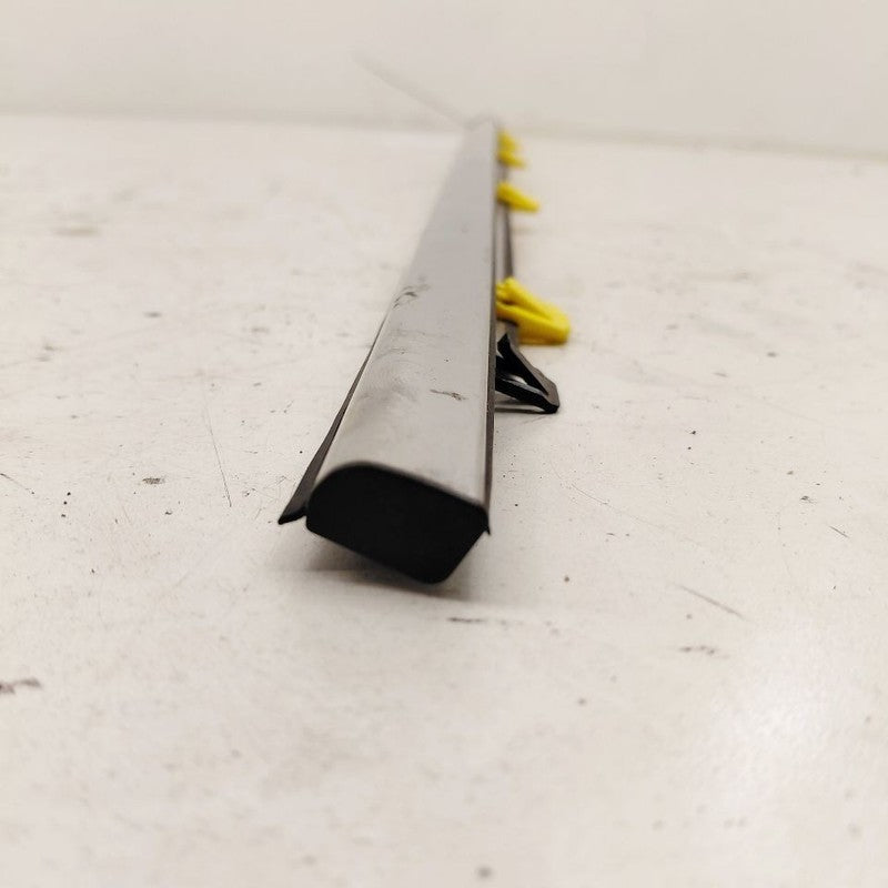 Honda CR-V Door Glass Window Weather Strip Trim Rear Left Driver Back 