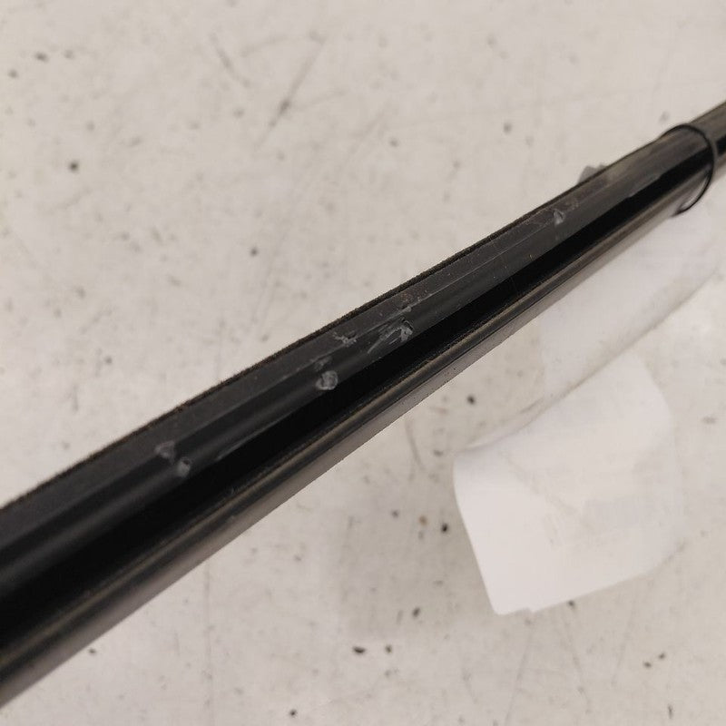 Honda Clarity Door Glass Window Weather Strip Trim Rear Left Driver Ba