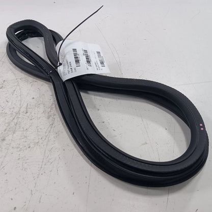 Chevy Malibu On Body Door Jamb Seal Rear Right Passenger Back  2019 2020 2021 20