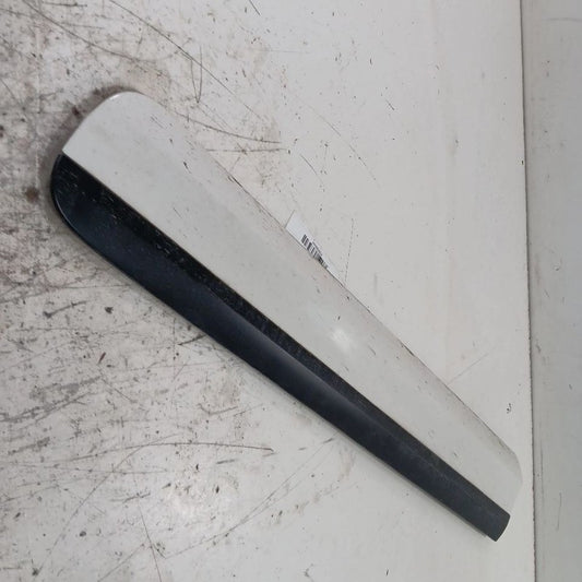 Fiat 500 Door Molding Trim Strip Right Passenger Side Front 2018 OEM