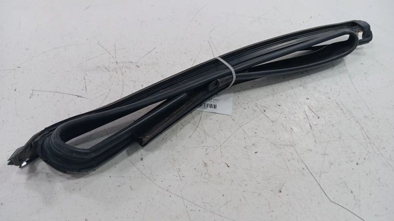 Dodge Dart Door Glass Window Seal Rubber Left Rear Back  2013 2014 2015 2