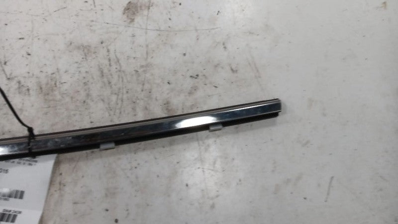 Buick Encore Door Glass Window Weather Strip Trim Rear Left Back  2013 20
