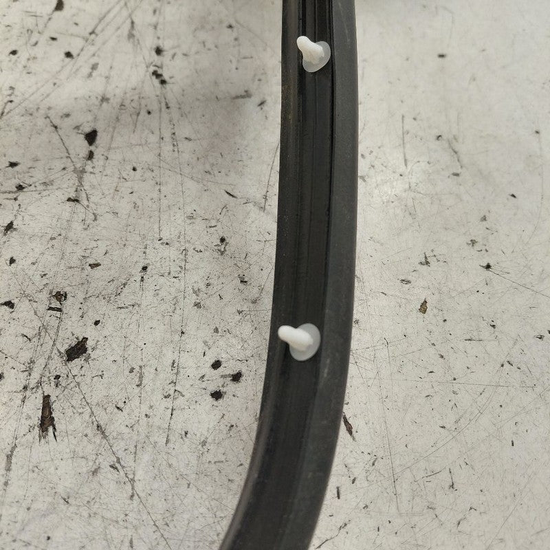 Hyundai Santa Fe On Door Seal Rubber Left Driver Front  2019 2020