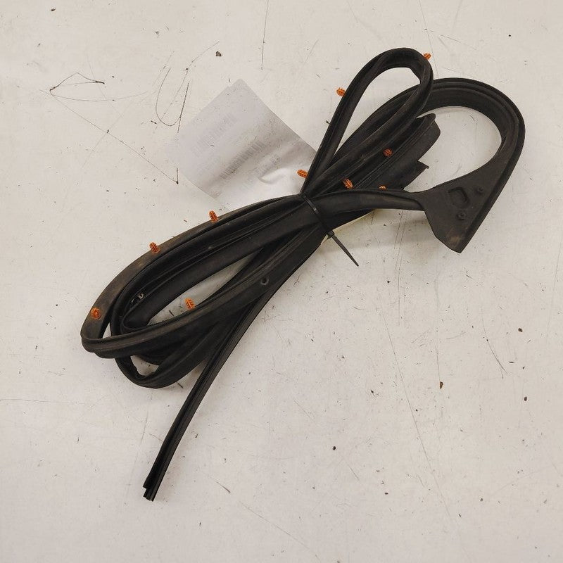 Chrysler 300 On Door Seal Rubber Left Driver Rear Back  2017 2018 2019