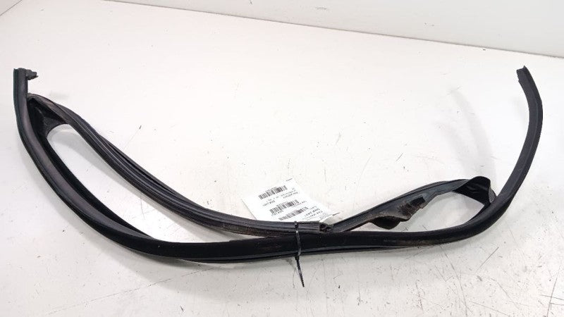 Volkswagen Golf Door Glass Window Seal Rubber Left Driver Front 2010 2
