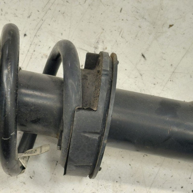 Driver Left Front Strut Fits 18-24 Alfa Romeo Stelvio