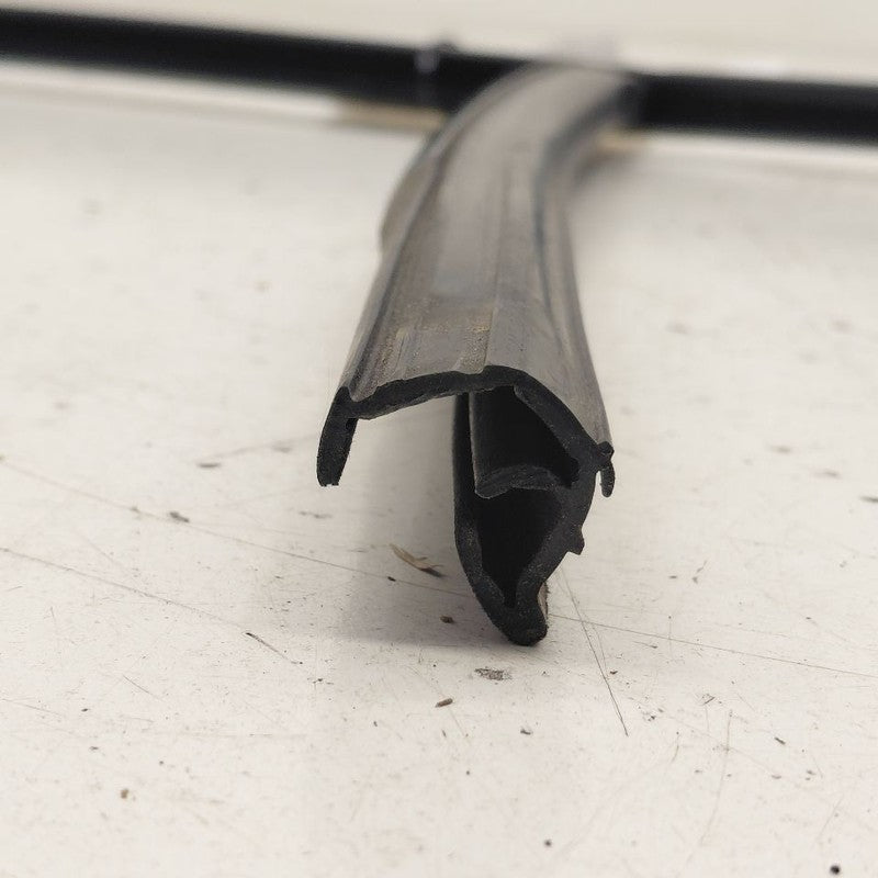Volvo S60 Door Glass Window Seal Rubber Left Driver Rear Back  2018 20