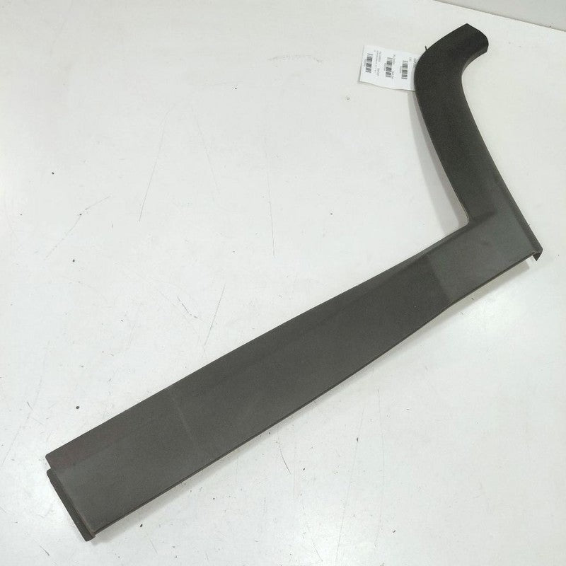 Jeep Compass Door Molding Trim Strip Left Driver Side Rear Back  2025 