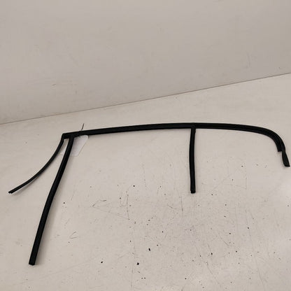 Volvo S60 Door Glass Window Seal Rubber Right Passenger Rear Back  201