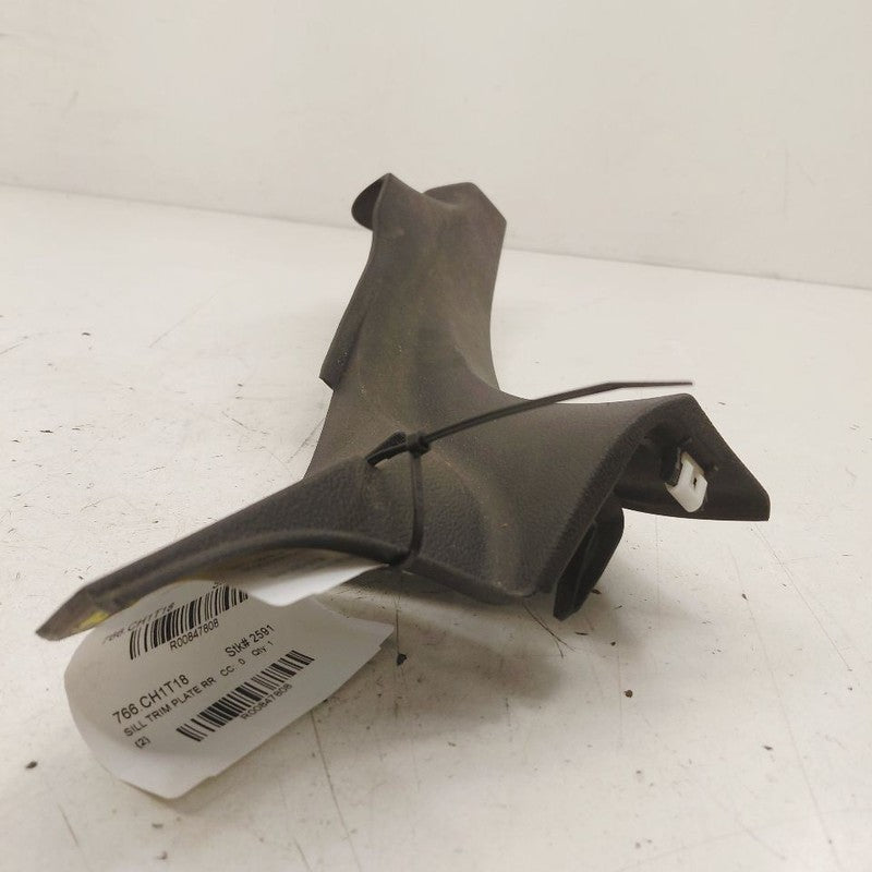 Chrysler 300 Sill Trim Plate Door Jam Threshold Right Passenger Rear  