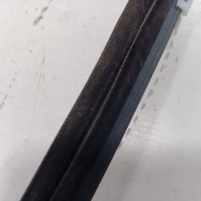 Kia Optima Door Glass Window Weather Strip Trim Rear Left Driver Back  2020 2019