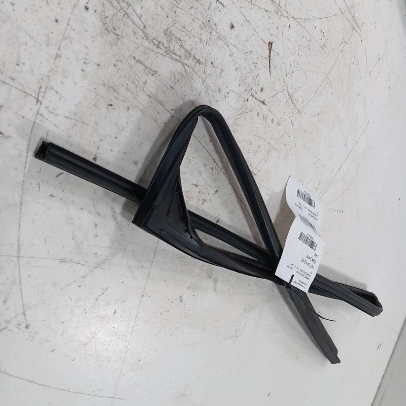 Nissan LEAF Door Glass Window Seal Rubber Left Rear Back  2013 2014 20