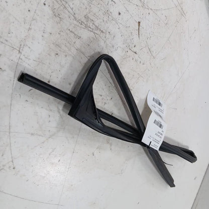 Nissan LEAF Door Glass Window Seal Rubber Left Rear Back  2013 2014 20