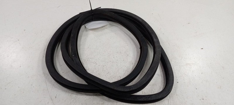 Dodge Dart On Body Door Jamb Seal Gasket Front Left Driver 2013 2014 2