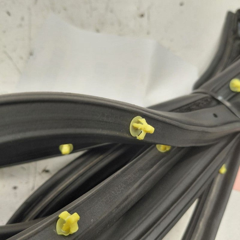 Honda HR-V On Door Seal Rubber Right Passenger Rear Back  2026 2025 20