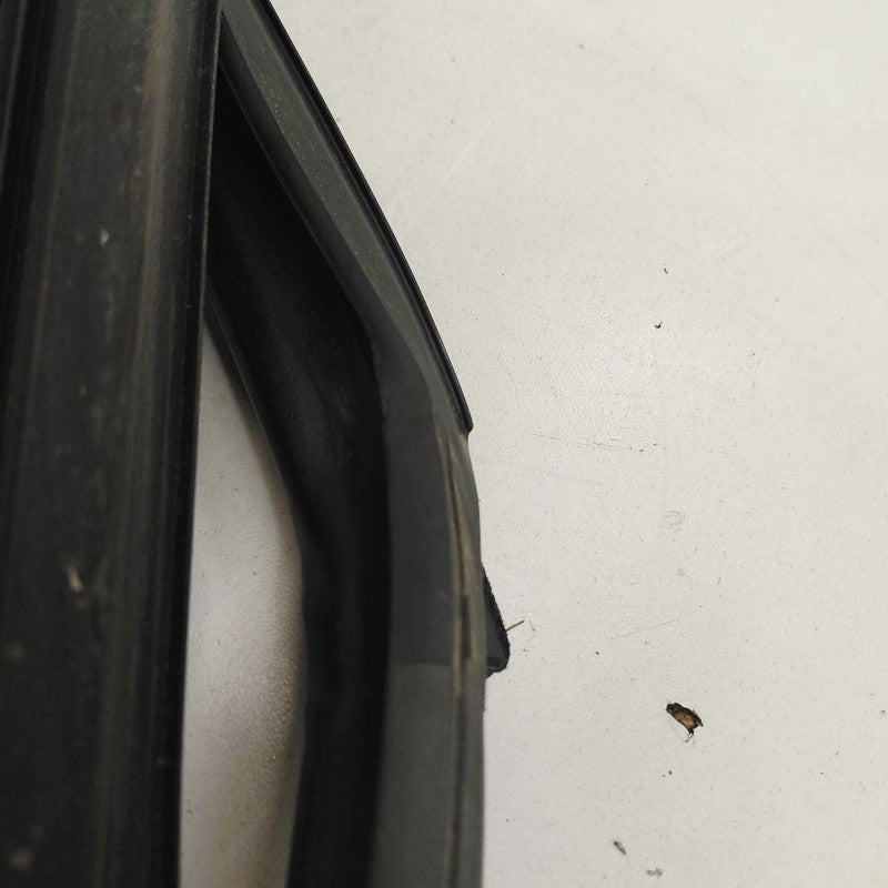 Nissan Rogue Door Glass Window Seal Rubber Left Driver Rear Back  2017