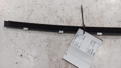 Buick Encore Door Glass Window Weather Strip Trim Rear Left Back  2013
