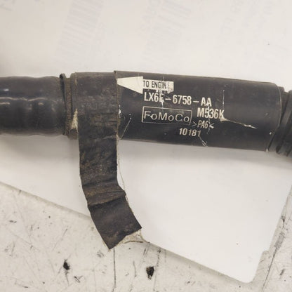 Ford Escape Vacuum Line 2.5 2020 2021 2022