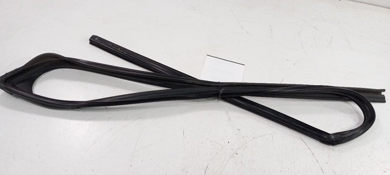 Acura TSX Door Glass Window Seal Rubber Left Driver Front 2014 2013 20