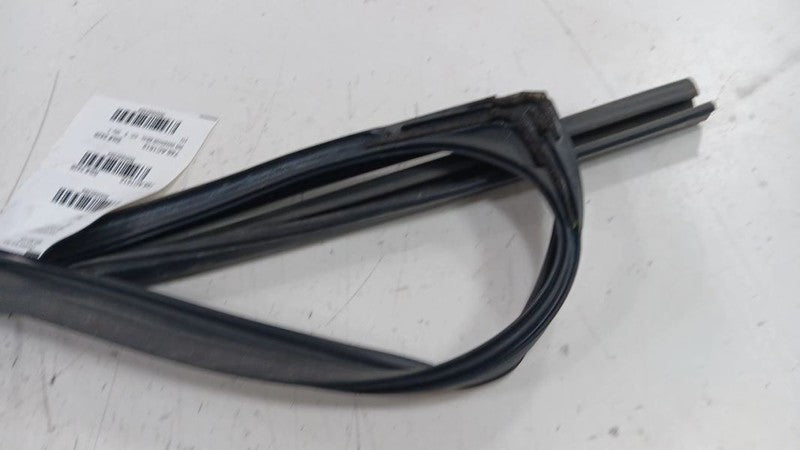 Acura MDX Door Glass Window Seal Rubber Right Passenger Rear Back 2010