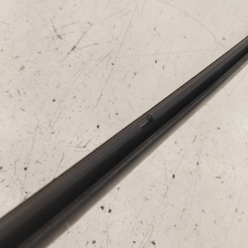 2018 Fiat 500 X Model Door Glass Window Weather Strip Trim Front Left 
