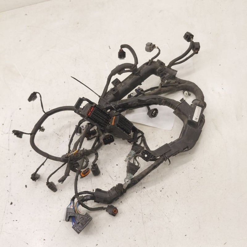 Hyundai Kona Engine Wire Wiring Harness  2.0 2021 2020 2019