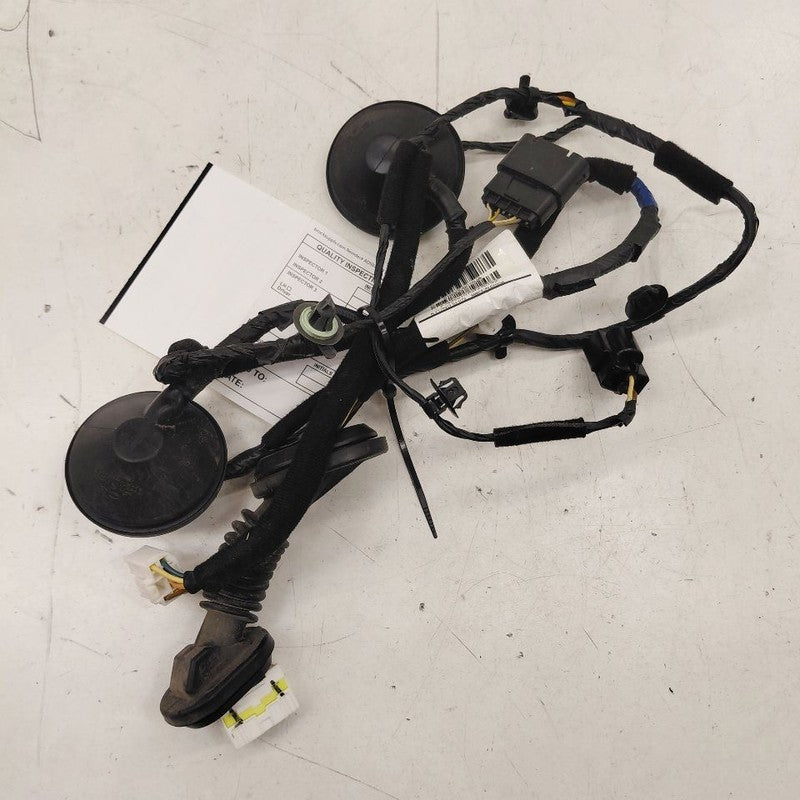 Kia Optima Door Harness Wire Wiring Left Driver Rear  2018 2017 2016 O