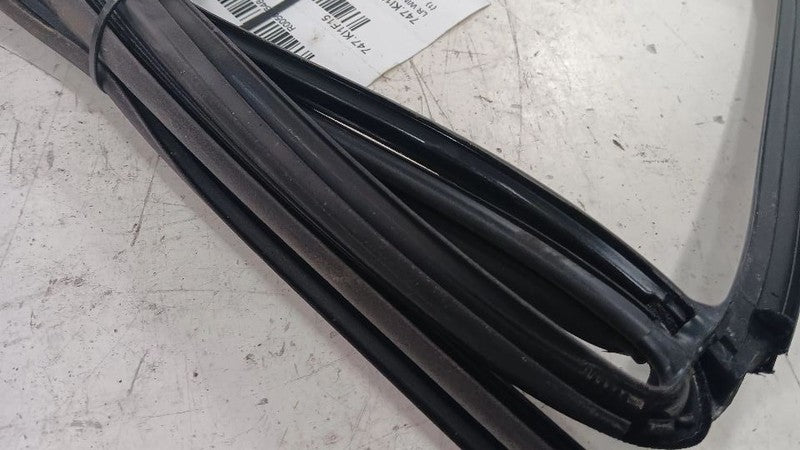 Kia Forte Door Glass Window Seal Rubber Left Rear Back  2014 2015 2016 20