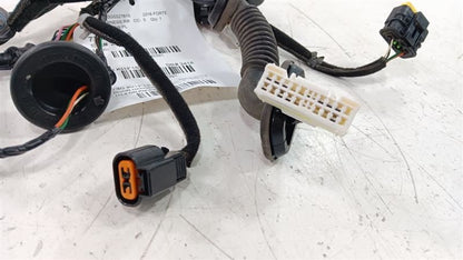 Kia Forte Door Harness Wire Wiring Right Passenger Rear 2016 2015 2014