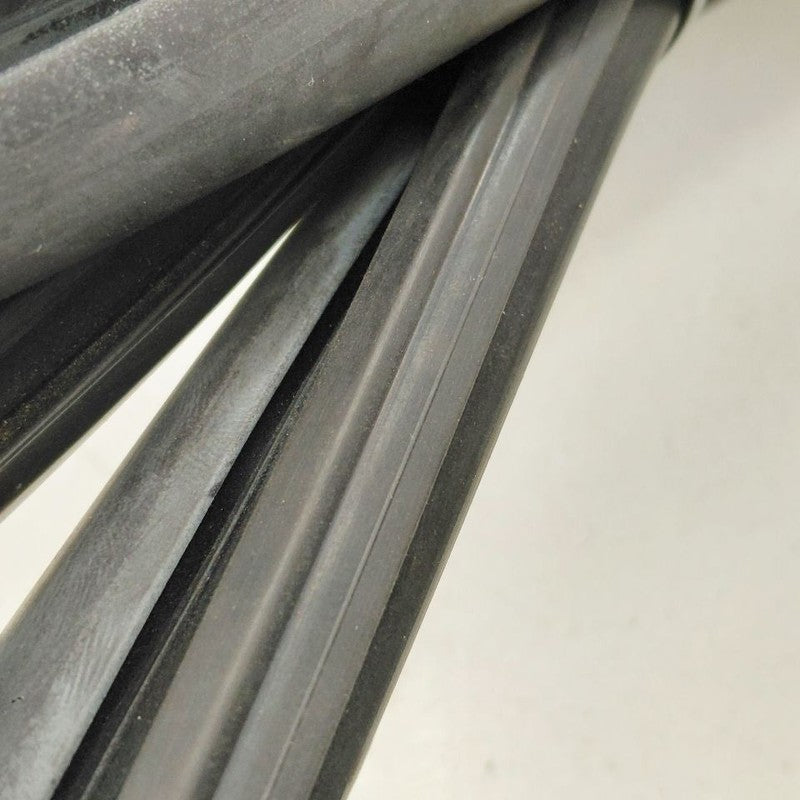 Ford Ecosport Door Glass Window Seal Rubber Right Passenger Rear Back 