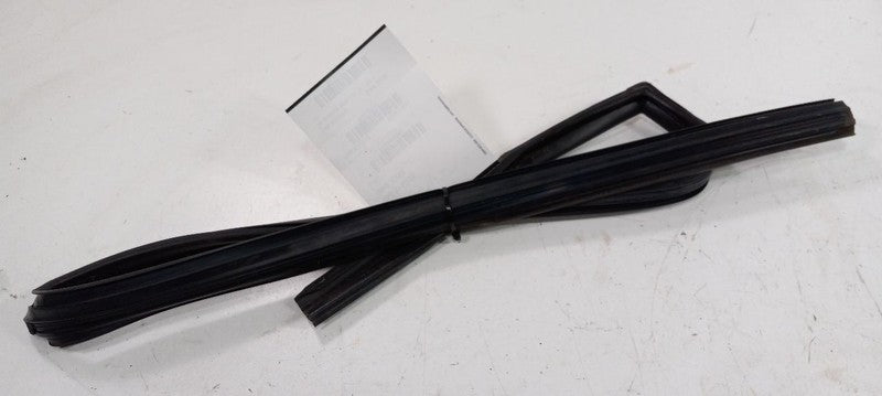 Kia Soul Door Glass Window Seal Rubber Right Passenger Rear Back 2019 2018 2017 