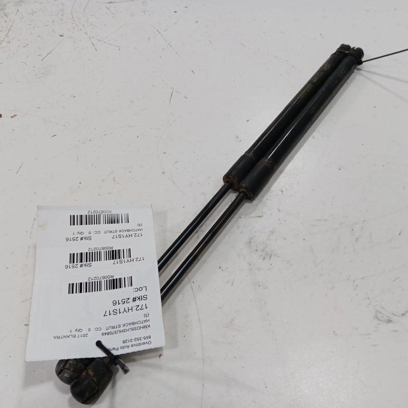 Hyundai Elantra Hatchback Hatch Back Trunk Lid Shock Strut Support  2017 2016 