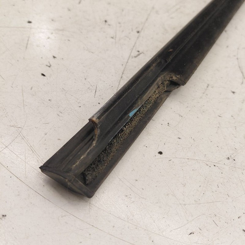 Chevy Volt Door Glass Window Weather Strip Trim Rear Left Driver Back 