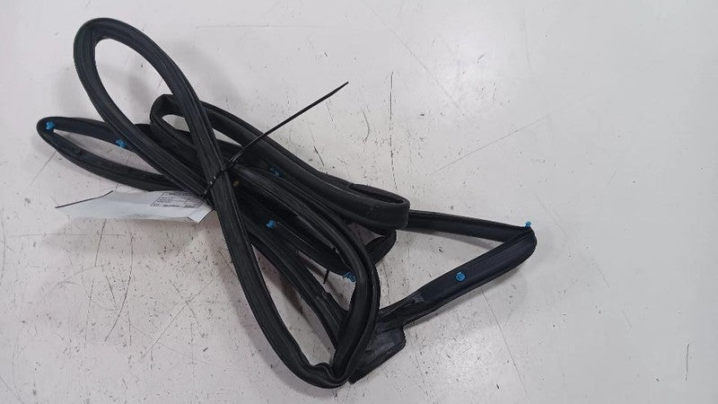 Buick Encore On Door Seal Rubber Right Passenger Front  2016 2017 2018 2019