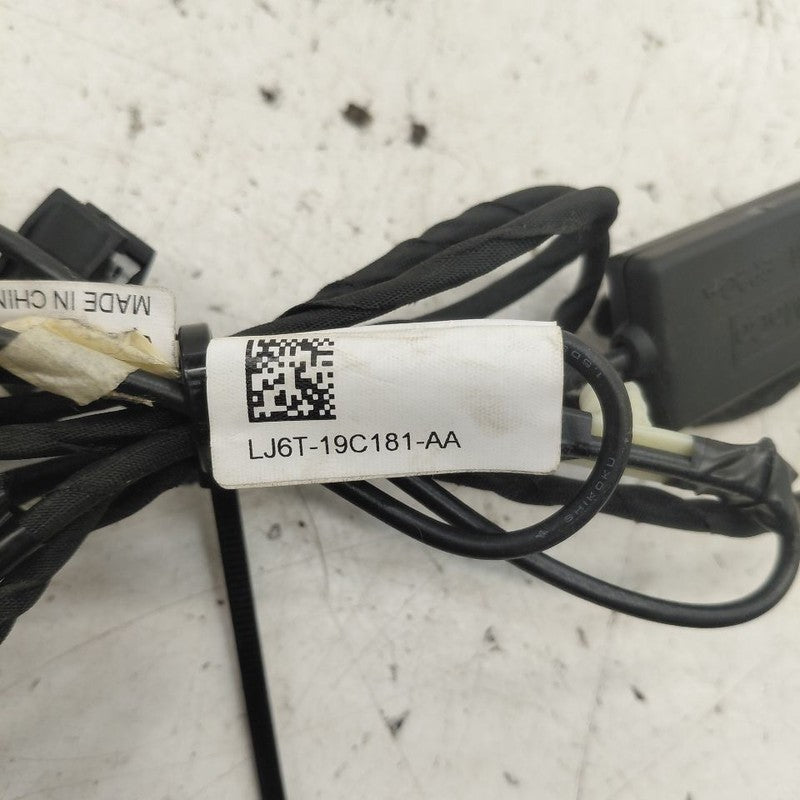 Ford Escape Radio Atenna Cable {LJ6T19C181AA} 2020 2021 2022