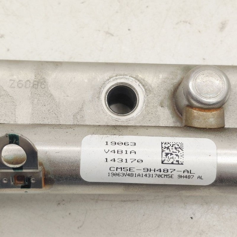 Ford Ecosport Fuel Rail Injection Injector Mount Bar  2.0 2020 2021 20