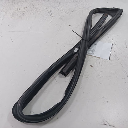 Ford Ecosport Door Glass Window Seal Rubber Left Driver Front  2022 20