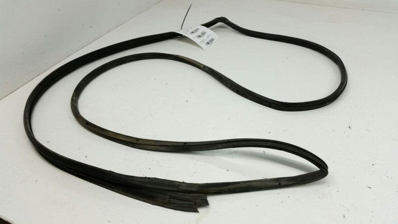 Honda Accord On Door Seal Rubber Gasket Right Passenger Front 2005 2006 2007 OEM