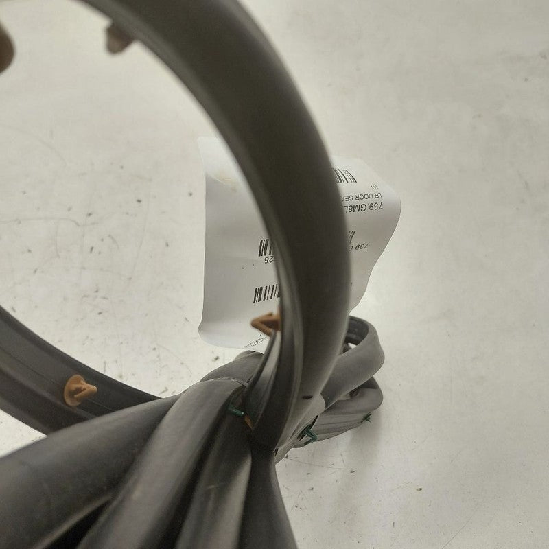 Chevy Equinox On Door Seal Rubber Left Driver Rear Back  2024 2023 202